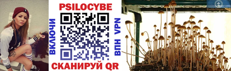 Галлюциногенные грибы MAGIC MUSHROOMS  Купить где  Ряжск 